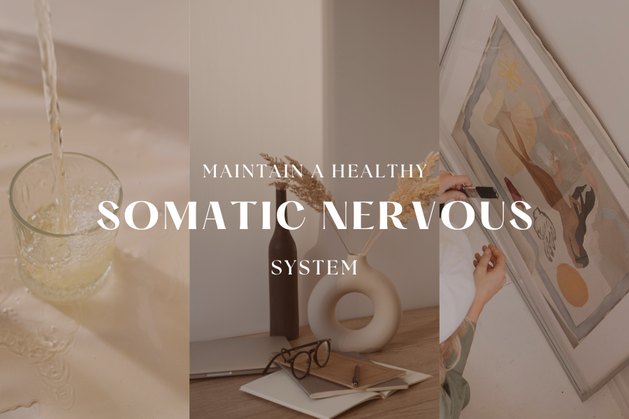 healthy somatic nervous system 