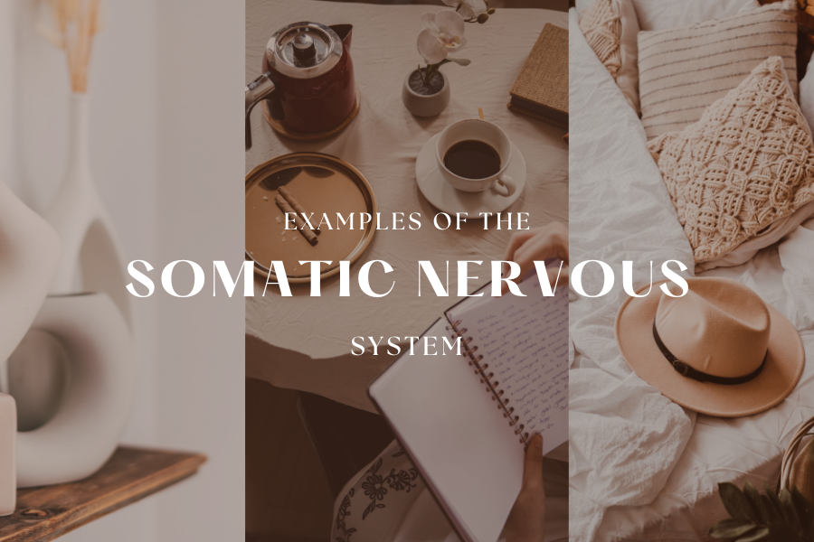 Somatic nervous system examples